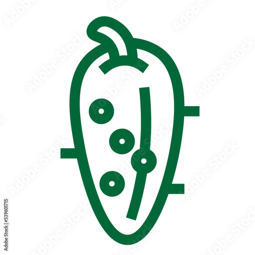 cucumber food gherkin vegetable vegetarian vitamins icon