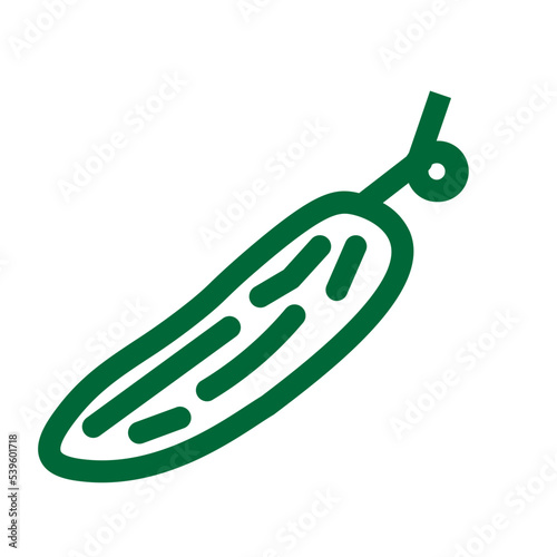 cucumber food gourd organic vegetable icon