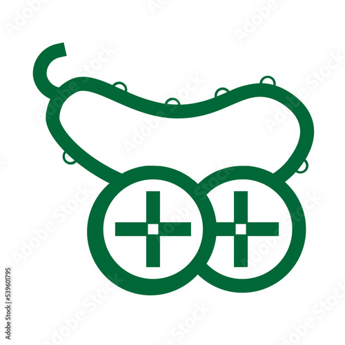 cucumber pickle salad sliced squash vegetable veggie icon