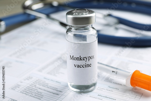 Monkeypox vaccine in vial and syringe on medical forms, space for text