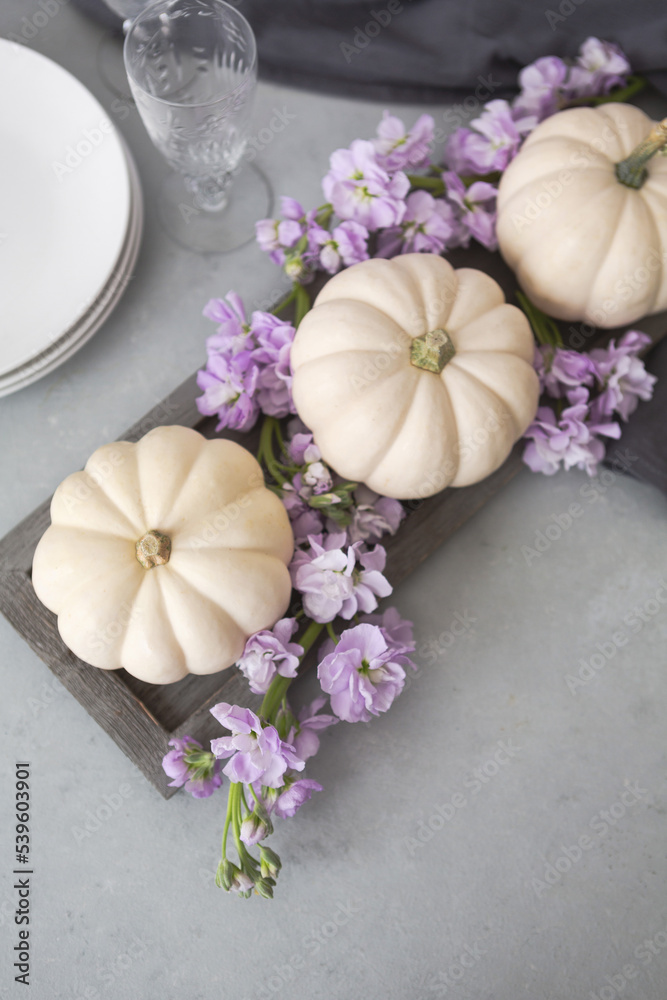 Three White Ghost Pumpkins on a Gray Tray with Purple Stock Flowers Three White Ghost Pumpkins on a Gray Tray with Purple Stock Flowers