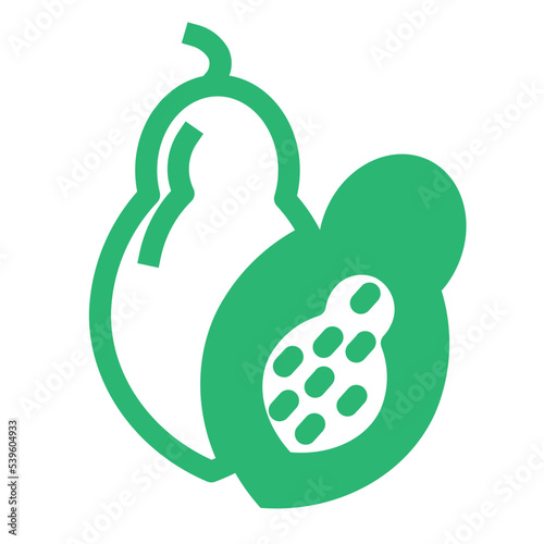 dessert food fruit healthy juice papaya vegetable icon