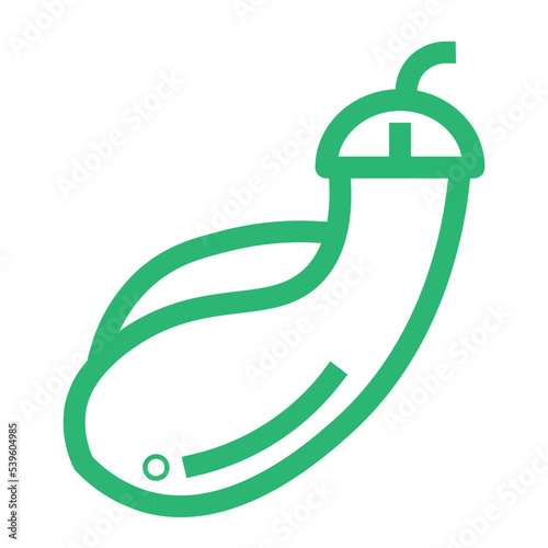 diet eggplant health vegan vegetable icon