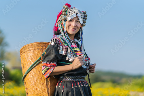 Hill tribe Asian woman in traditional clothes collecting Chrysanthemum with basket in tea plantations terrace  Chiang mai  Thailand collect Chrysanthemum