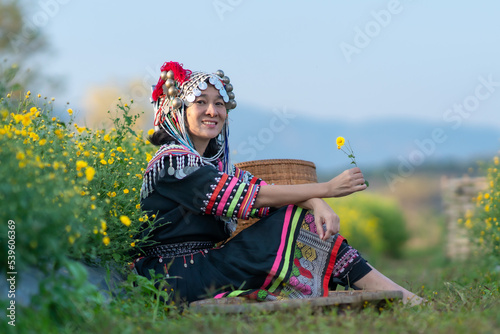 Hill tribe Asian woman in traditional clothes collecting Chrysanthemum with basket in tea plantations terrace, Chiang mai, Thailand collect Chrysanthemum