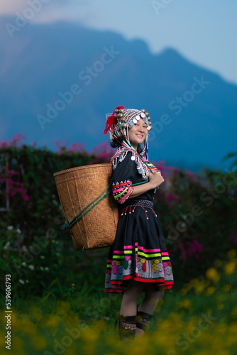 Hill tribe Asian woman in traditional clothes collecting Chrysanthemum with basket in tea plantations terrace, Chiang mai, Thailand collect Chrysanthemum