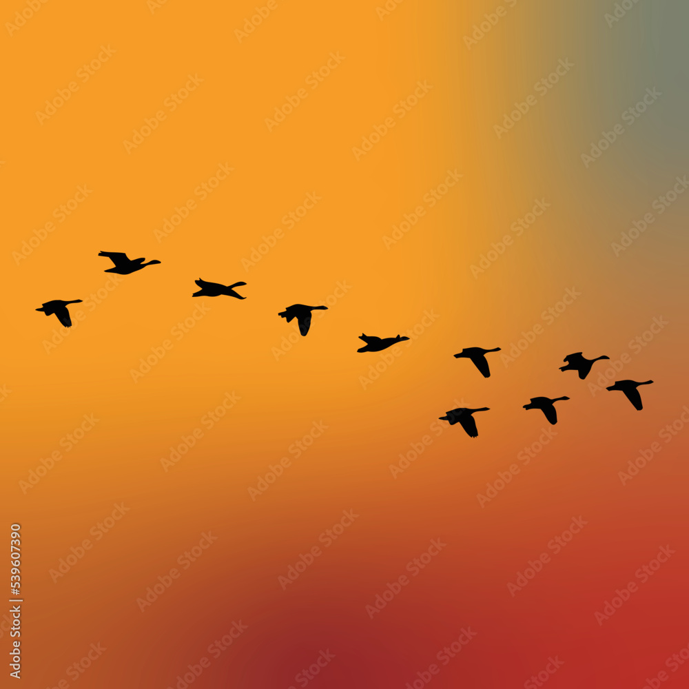 Silhouette of a flock of birds or geese flying vector