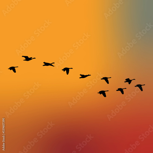 Silhouette of a flock of birds or geese flying vector