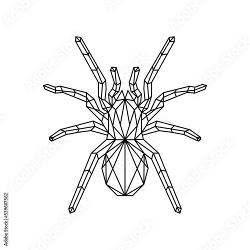Polygonal geometric spider logo vector illustration 