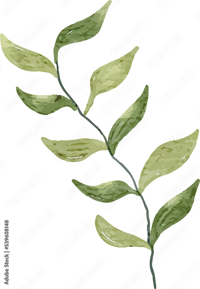 Fern Leaf Watercolor Clip Art Fern Leaf Watercolor Clip Art