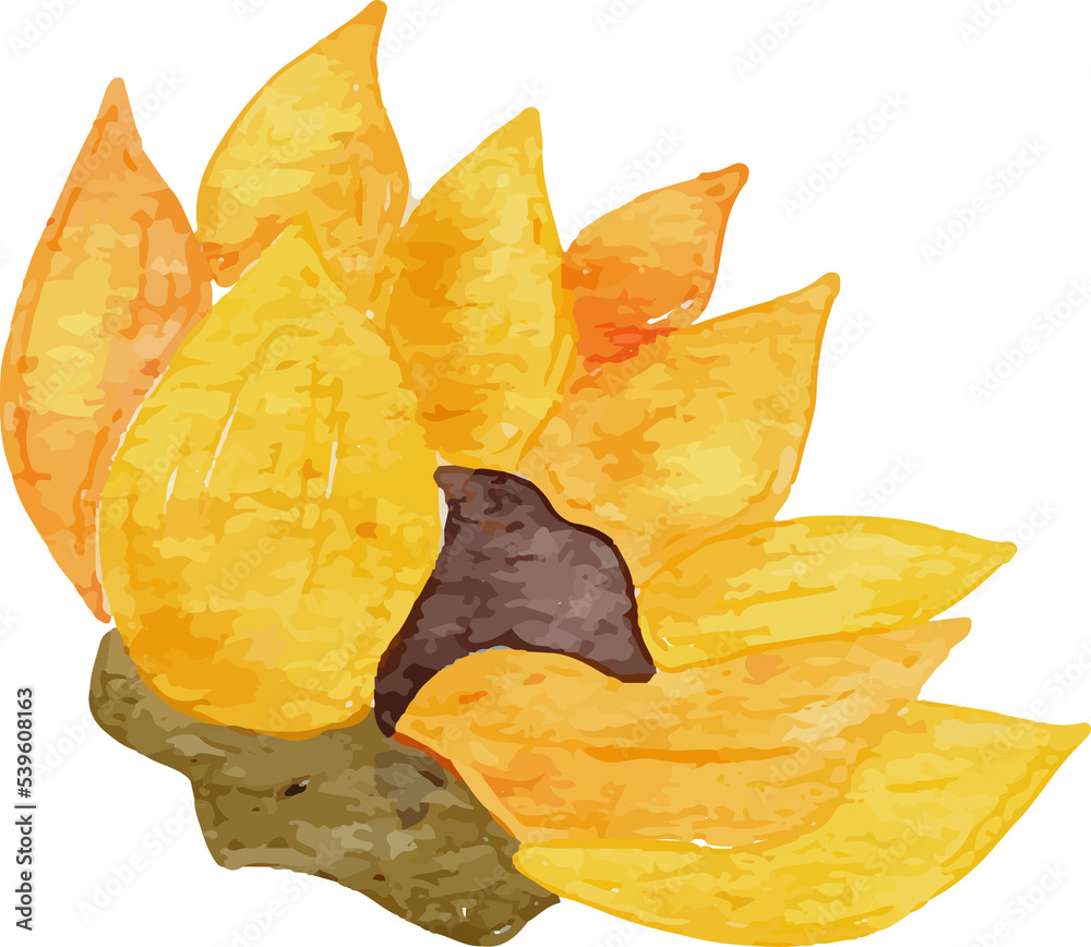 Naklejka premium Sunflower Watercolor Clip Art