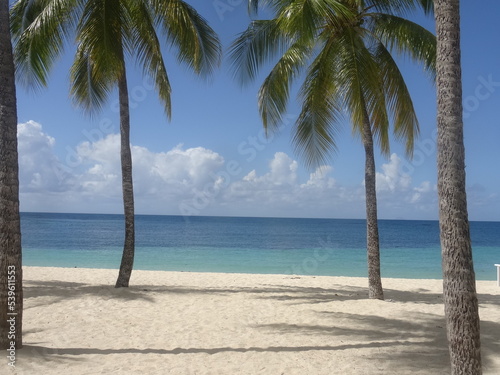 Des palmiers sur la plage de sable blanc, devant la mer turquoise