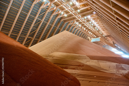 Pouring red phosphate fertilizers on pile in storehouse photo