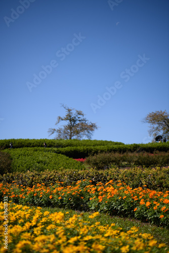 Wallpaper Mural 馬見丘陵公園 Torontodigital.ca