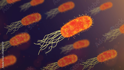Vector Illustration of a Microscopic Bacteria photo