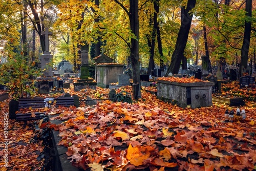 Rakowice w Krakowie w słoneczny, jesienny dzień