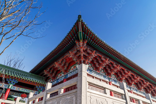 Intricate designs on the roofs of buildings in the Forbidden City