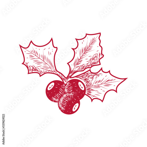 holly berry christmas