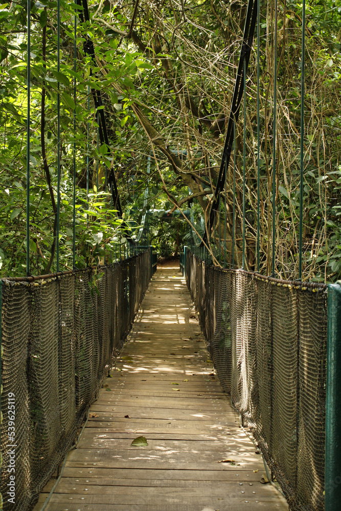 Obraz premium Puente colgante