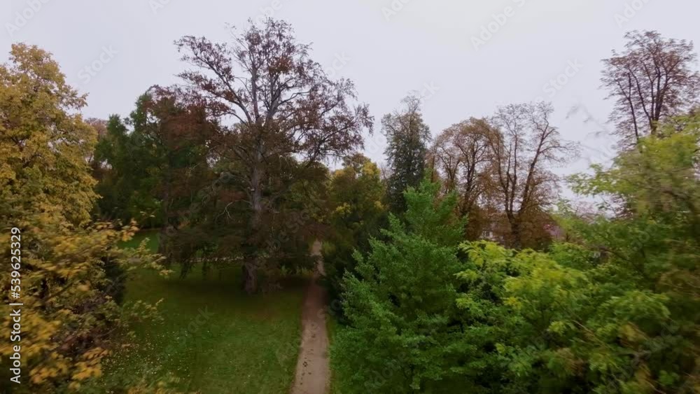 An aerial shot of a narrow road through a dense forest in autumn. The video is captured through drone An aerial shot of a narrow road through a dense forest in autumn. The video is captured through drone