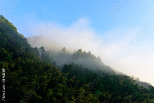 朝霧に包まれる山の景色