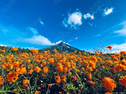 Mayon Volcano Views  © caillustrata.com