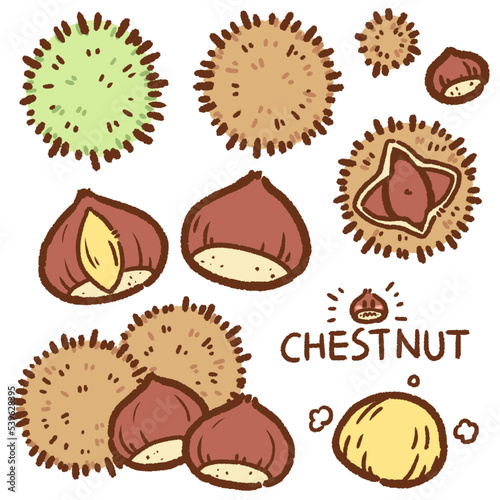 chestnut cartoon drawing set