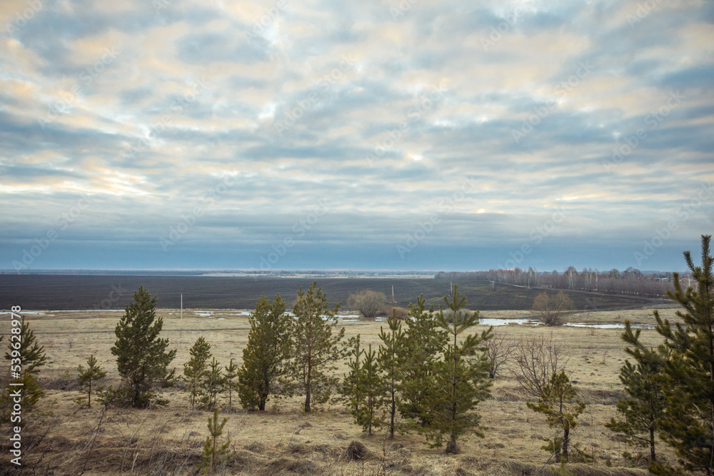 landscape of the countryside in early spring