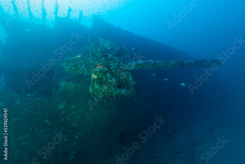 Cannone del relitto del Gazzella, corvetta della marina italiana affondata durante la seconda guerra mondiale nel golfo dell'Asinara, Sardegna © Massimo