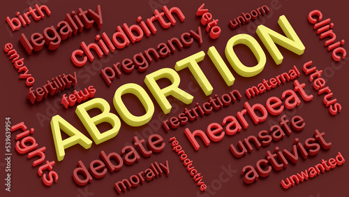 Εκτύπωση καμβά Abortion laws debates word and terms cloud. 3d illustration.