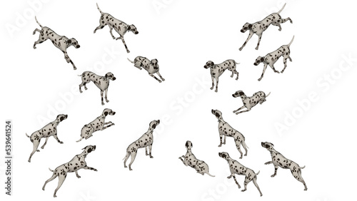 3D High Poly Dogs - SET1 Color - Isometric Views
