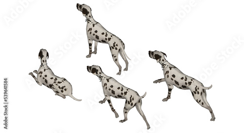 3D High Poly Dogs - SET1 Color - Isometric View 3