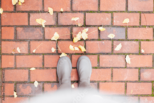 Overhead top view of woman legs standing on road. Fallen ginkgo tree leaves yellow color lying on asphalt at autumn. Natural background with copy space photo