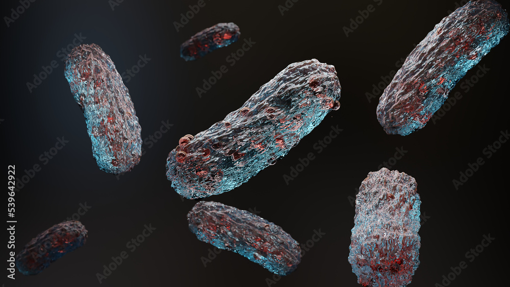 bacteria. Gut microbiome, intestinal digestion and the immune system. Probiotics are beneficial