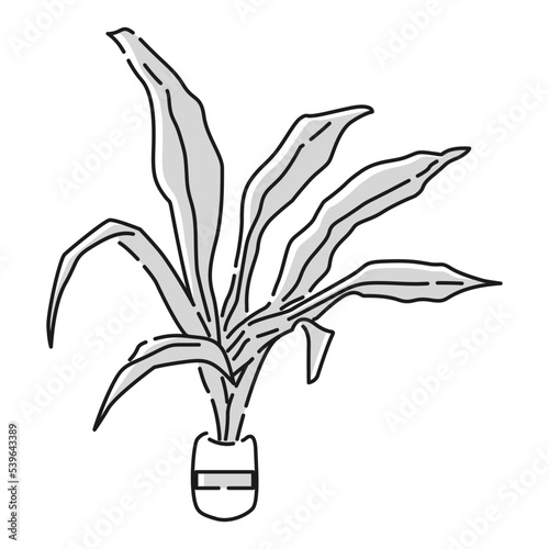 （白黒）ミクロソリウムのイラスト（水草）