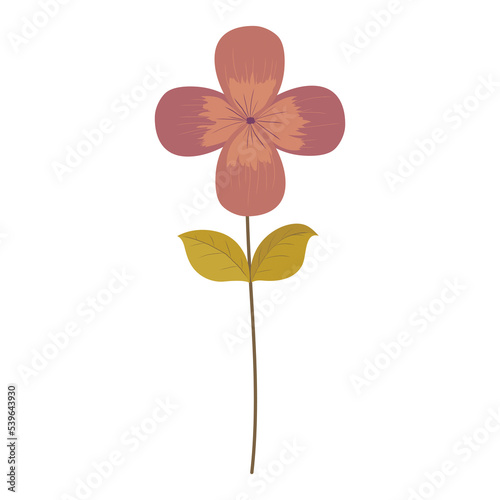 Fototapeta Naklejka Na Ścianę i Meble -  Flower, botanic element