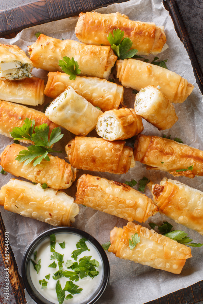 sigara boregi borek turkish pastry fried with sauce closeup on the wooden board on the table. Vertical top view from above