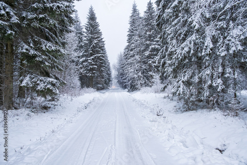 Snowy road in the woods © Lars Johansson