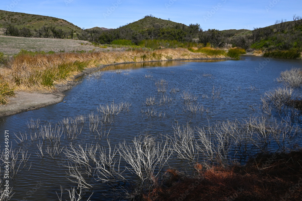 Nicholas Pond, Santa Monica Mountains, Malibu Nicholas Pond, Santa Monica Mountains, Malibu