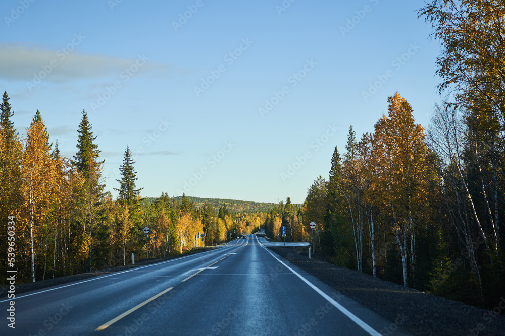 Highway through the autumn forest. Autumn forest highway Highway through the autumn forest. Autumn forest highway