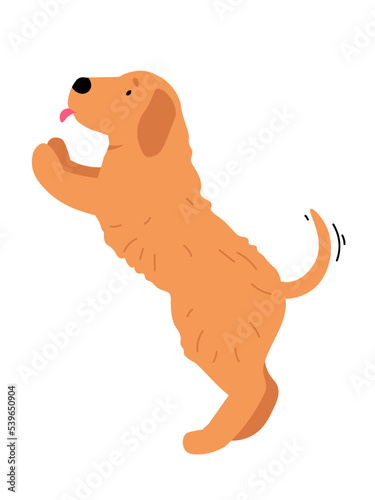 Side view of the dog. Playful and joyful Puppy. Golden Retriever is waving his tail