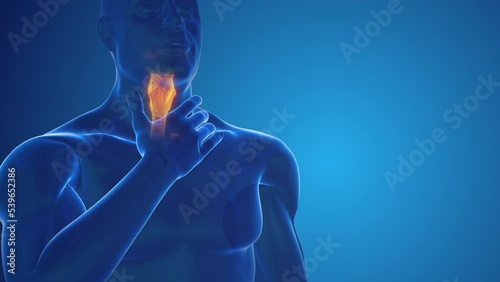 human medical figure with sore throat photo