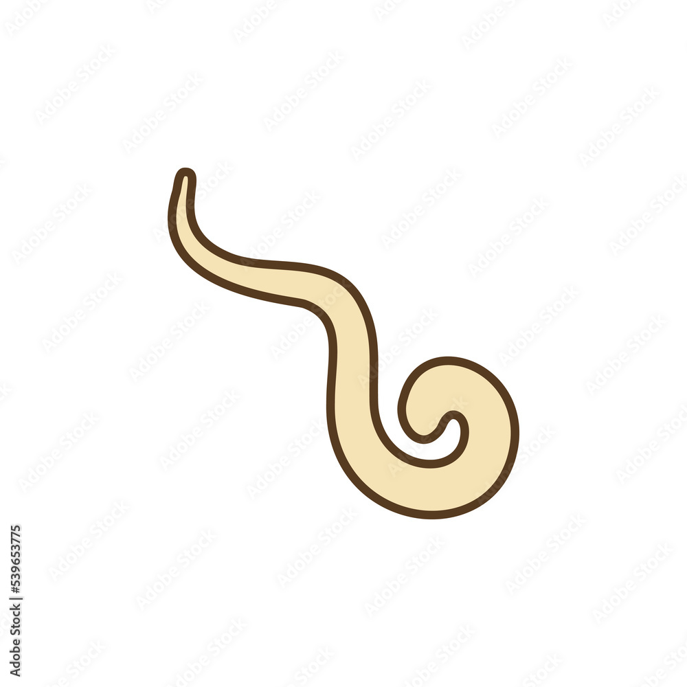 Pinworm vector concept colored icon or sign