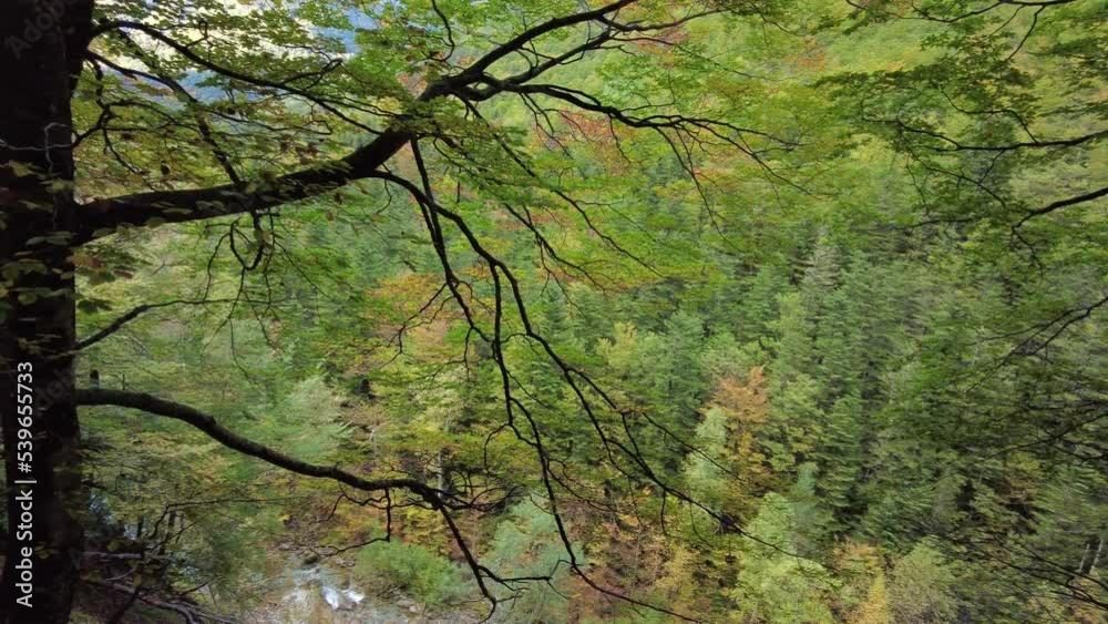 Autumn forest Ordesa National Park Valley. Spain. Autumn forest Ordesa National Park Valley. Spain.