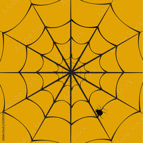 Spider web Halloween background. Vector illustration