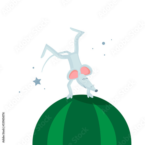 A sporty gray mouse does tricks on a watermelon