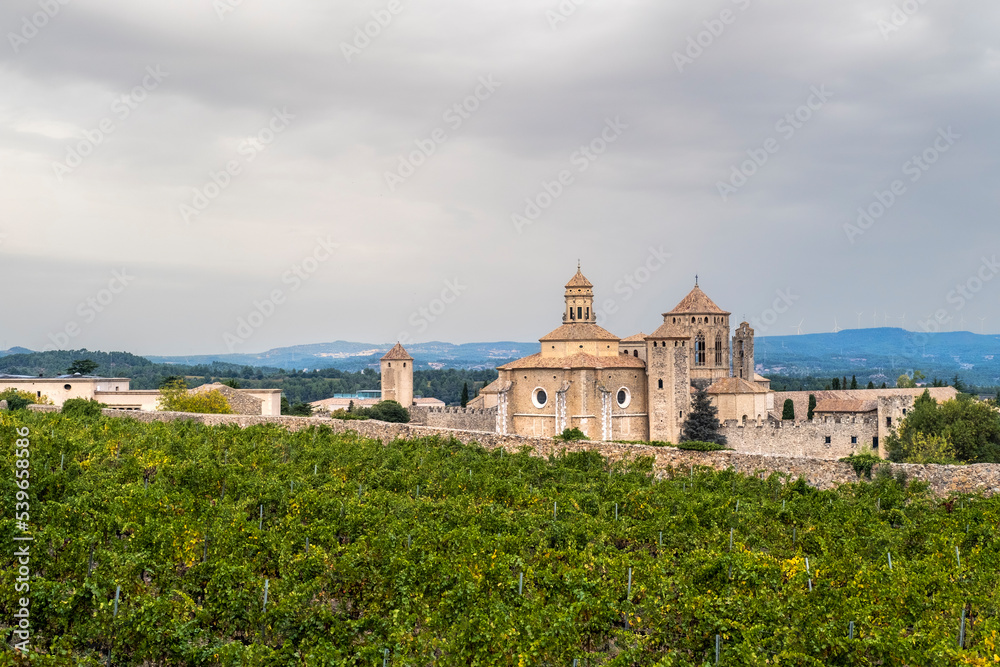 Panoramic view of the royal monastery of Santa Maria de Poblet of the Cistercian order surrounded by vineyards in early autumn in Tarragona in Spain