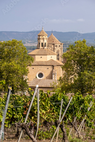 Panoramic view of the royal monastery of Santa Maria de Poblet of the Cistercian order surrounded by vineyards in early autumn in Tarragona in Spain photo