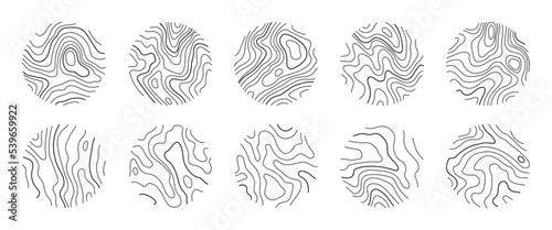 Wood ring texture, vector logo tree ring. Line topography map, editable stroke