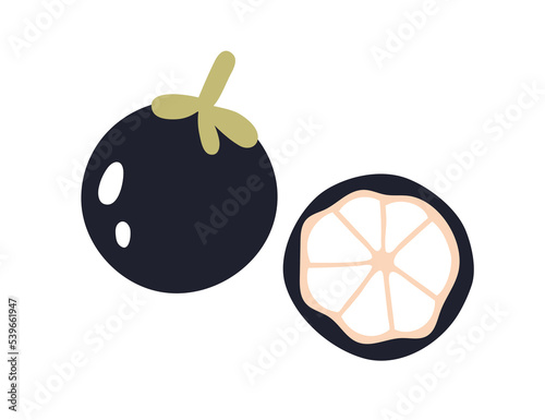 Mangosteen, cut half and whole fruit. Exotic mangosten cross-section, piece with ripe flesh, arils. Healthy natural vitamin food, eating. Flat vector illustration isolated on white background